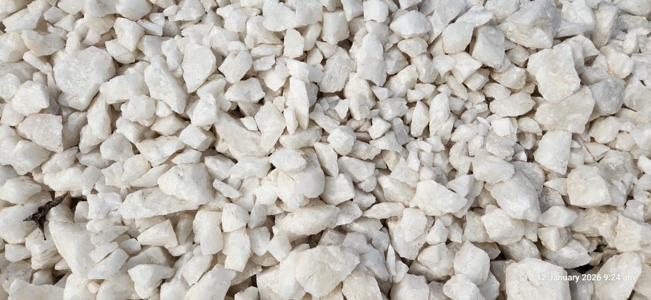 TMine Image 2026 01 12